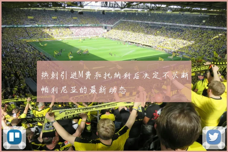 热刺引进M费和托纳利后决定不买断帕利尼亚的最新动态