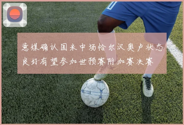 意媒确认国米中场恰尔汉奥卢状态良好有望参加世预赛附加赛决赛